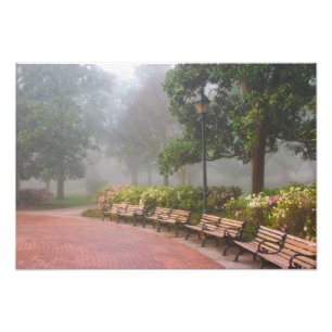 GA Savannah, Azaleas entlang der Backsteinstraße  Fotodruck