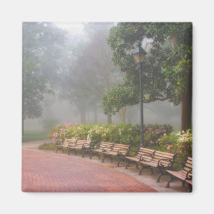 GA Savannah, Azaleas entlang der Backsteinstraße  Magnet