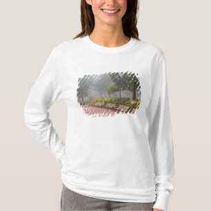 GA Savannah, Azaleen entlang einem Ziegelweg und T-Shirt