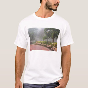 GA Savannah, Azaleen entlang eines Ziegelsteinwege T-Shirt