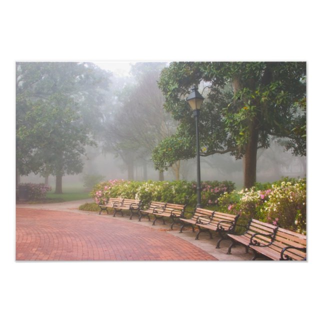 GA Savannah, Azaleen entlang Ziegelweg und Fotodruck (Vorne)