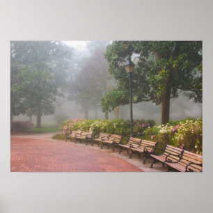 GA Savannah, Azaleen entlang Ziegelweg und Poster