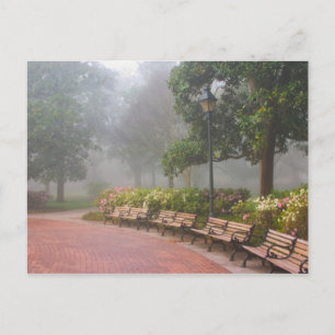 GA Savannah, Azaleen entlang Ziegelweg und Postkarte