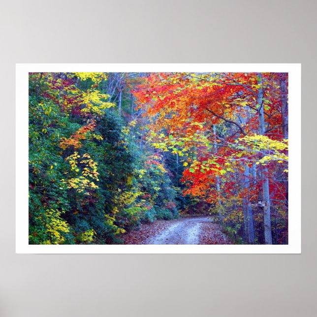 Gab Fall Poster (Vorne)