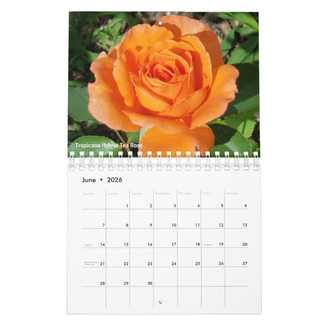 Gabby Gardener 2021 Kalender (Jun 2026)