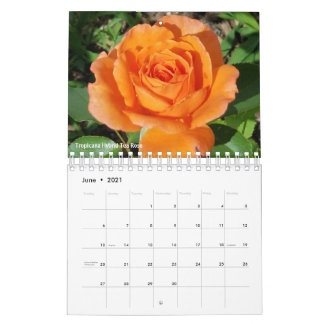 Gabby Gardener 2021 Kalender