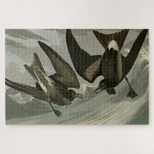 Gabel-Schwanz Petrel von Audubons Vögeln von Ameri Puzzle