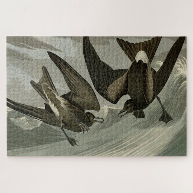 Gabel-Schwanz Petrel von Audubons Vögeln von Ameri Puzzle (Horizontal)