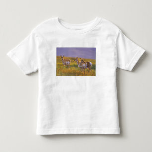 Gabelbock-Antilope in Montana Kleinkind T-shirt
