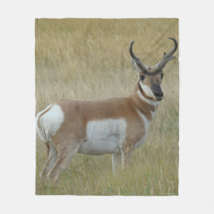 Gabelbock Großer Bock A1 Fleecedecke