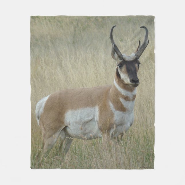 Gabelbock Großer Bock Fleecedecke (Vorderseite)