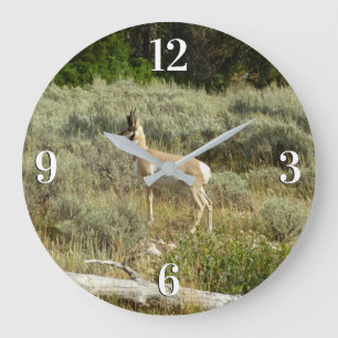 Gabelbock im Grand-Teton-Nationalpark Große Wanduhr