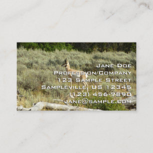 Gabelbock im Grand-Teton-Nationalpark Visitenkarte