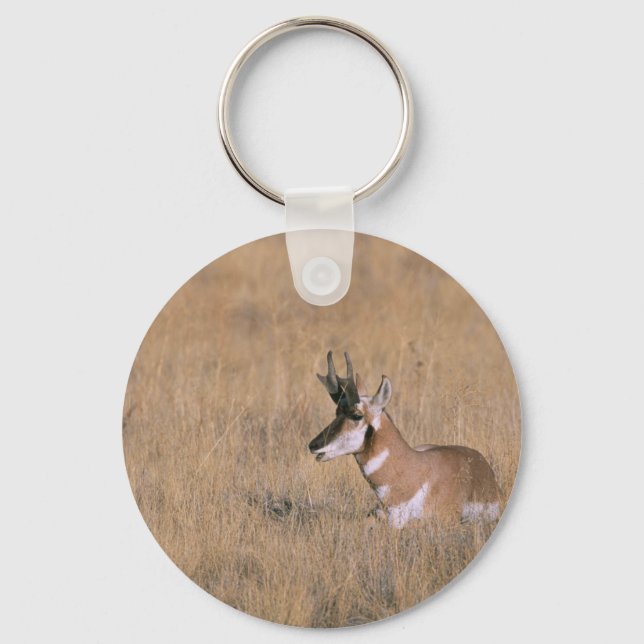 Gabelbock Schlüsselanhänger (Vorderseite)