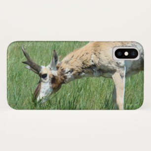 Gabelbock weidet iPhone x hülle