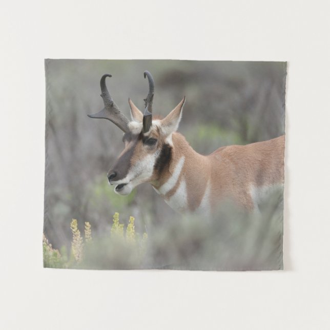 Gabelbockbock | Grand Tetons Wandteppich (Vorderseite (Horizontal))