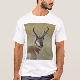 Gabelbockbock Kopfschuss A5 T-Shirt