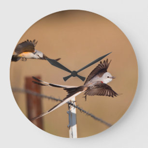 Gabelschwanz-Königstyrann (Tyrannus Forficatus) Große Wanduhr
