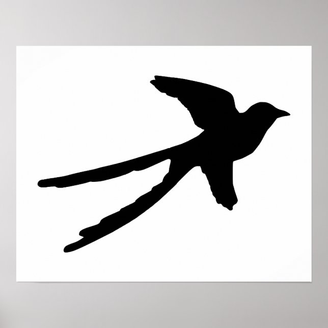 Gabelschwanzschnäpper Poster (Vorne)