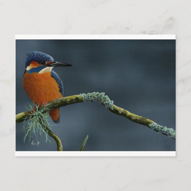 Gaben von Kingfisher Postkarte (Vorderseite)