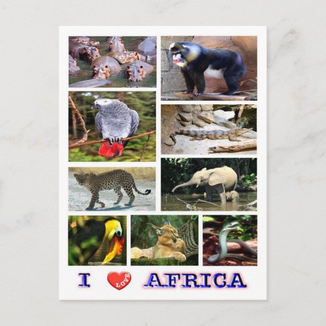 Gabun - I Liebe Afrika - Postkarte (Vorderseite)
