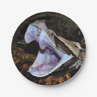 Gabun-Viper Pappteller