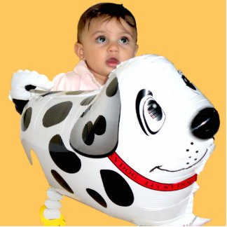 Gaby Fotoskulptur Magnet