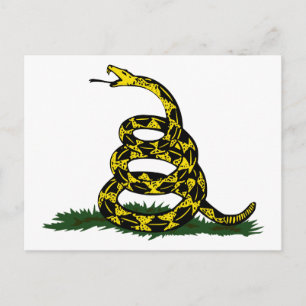Gadsden Flag Snake Postkarte