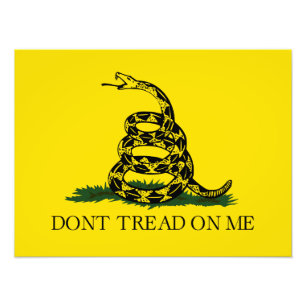 Gadsden-Flagge Don't Tread on Me Fotodruck