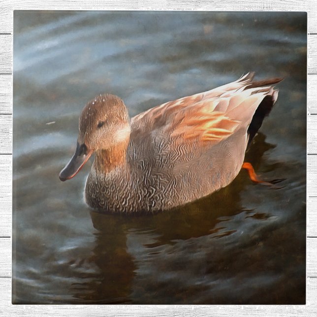 Gadwall Duck Drake am See Fliese (Von Creator hochgeladen)