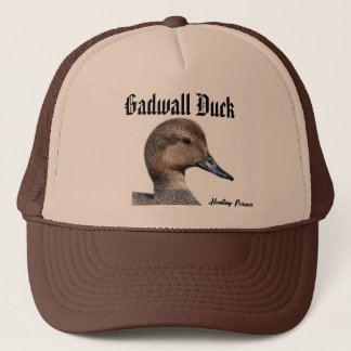 Gadwall Duck hat Truckerkappe