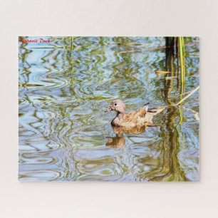 Gadwall Duck Puzzle