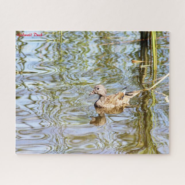 Gadwall Duck Puzzle (Horizontal)