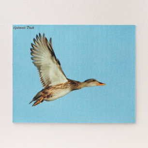 Gadwall Duck Puzzle