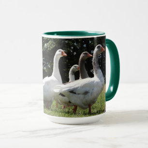 Gaggle domestizierter Gänse Tasse
