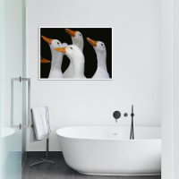 Gaggon der weißen Enten glänzend fotografisch