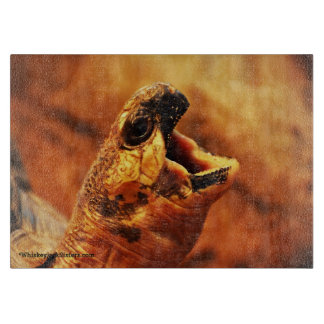 Gähnende ausgestrahlte Schildkröte Schneidebrett