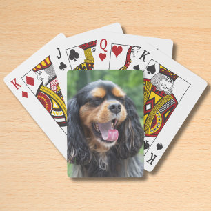 Gähnender Cavalier King Charles Spaniel Spielkarten