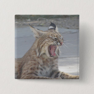 Gähnender Rotluchs Button