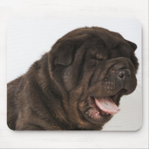Gähnender Shar Pei Welpe, Studioschuß Mousepad