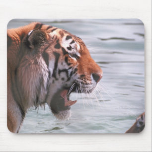 Gähnender Tiger im Wasser Mousepad