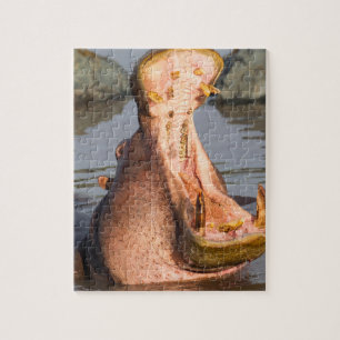 Gähnendes Flusspferd, Tansania Puzzle