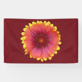 Gaillardia 1 banner