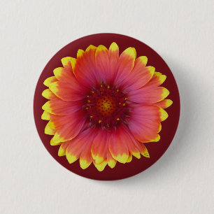 Gaillardia 1 button