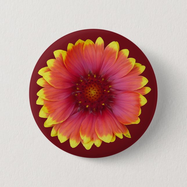 Gaillardia 1 button (Vorderseite)
