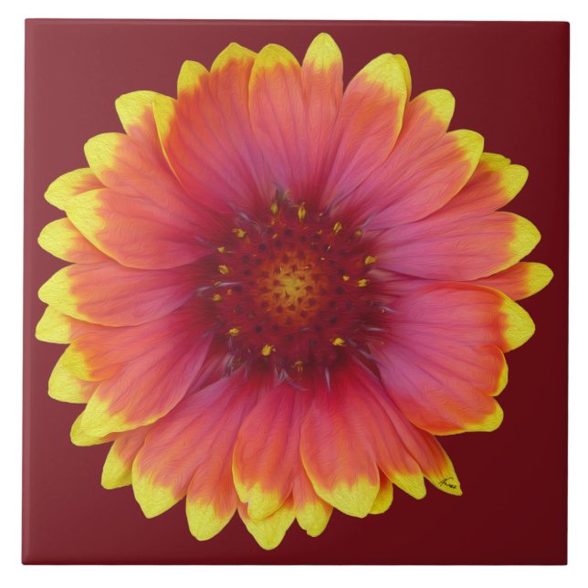 Gaillardia 1 fliese (Vorderseite)