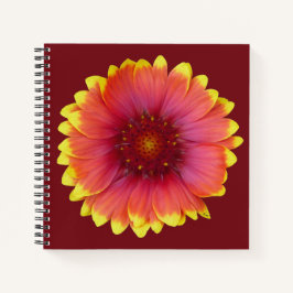 Gaillardia 1 notizbuch