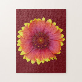 Gaillardia 1 puzzle