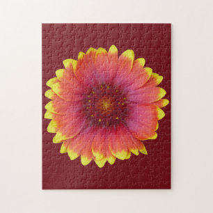 Gaillardia 1 puzzle