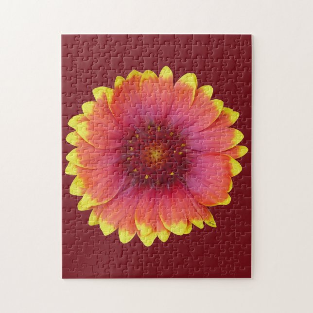 Gaillardia 1 puzzle (Vertikal)